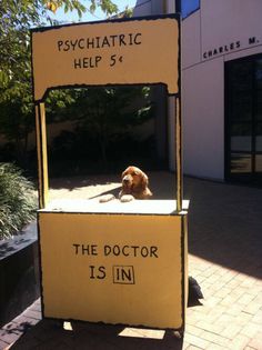 a sign that says, psychic help 5 4 the doctor is in with a dog