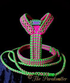 there is a pink and green dog collar on the black background with a leash attached to it