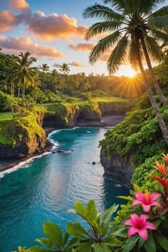 the sun is setting over an ocean with palm trees and flowers in front of it