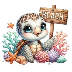 a cartoon turtle holding a sign with the word beach on it's back and sea shells around it