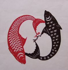 two red and black koi fish in a circle on a white paper with water droplets