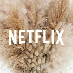 the word netflix written in front of some dried up plants and grass on a white background