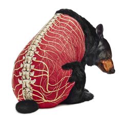 a stuffed bear is dressed in a red and gold outfit with white stitches on it's chest