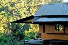 a small wooden house in the middle of a forest with trees and bushes around it