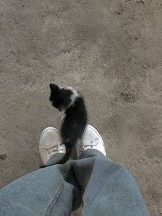 a black and white kitten sitting on top of someone's feet