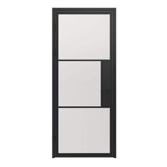 a black and white door with three panels on the front, two windows in the back