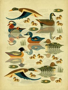 an illustration of ducks swimming in the water