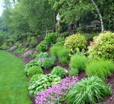 a garden with lots of green plants and purple flowers in the center, along side a bench