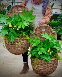 a woman holding two wicker baskets filled with plants