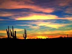 the sun is setting behind saguados and clouds in the sky with no leaves on them