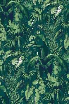 a green and white wallpaper with lots of leaves