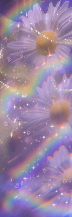 an image of rainbows and daisies in the sky with water droplets on them