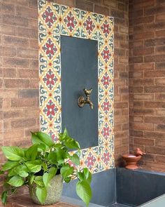 a potted plant sitting on top of a wooden bench next to a wall mounted faucet