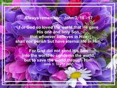 a purple and white bouquet with flowers in the center is an inspirational quote from john 3 16 - 17