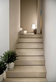 there is a potted plant sitting on the bottom of some stairs in this house