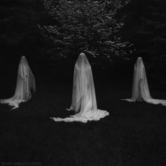 three ghostly people standing in the dark with white veils on their heads and body