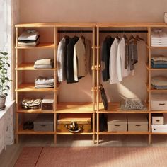 an open closet with clothes and boxes on the shelves, next to a potted plant