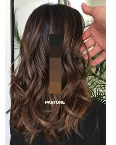 Hot Chocolate Highlights, Brown Hair Color Shades, Brown Hair Shades, Hair Color Light Brown, Brown Hair Balayage, Brown Balayage, Balayage Brunette, Brown Hair With Highlights, Hair Color Balayage