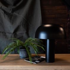 a black lamp sitting on top of a wooden table next to a potted plant