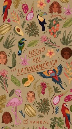 the cover to her book, hecho en latinamericaa