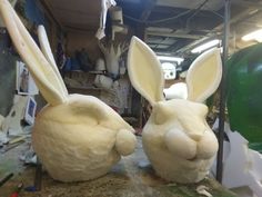 two large white rabbits sitting next to each other