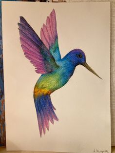 a drawing of a colorful hummingbird in flight