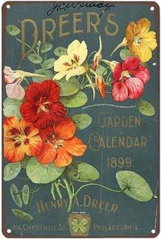 an old poster with flowers on it and the words dreeer's garden calendar 1909