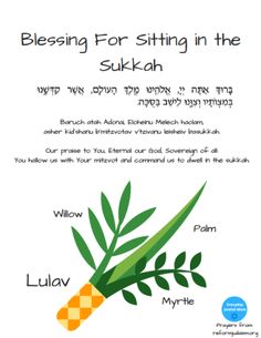 a poster with an image of a carrot and the words blessing for sitting in the sukkah