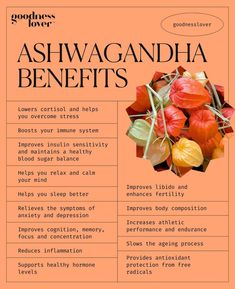 Ashwagandha Plant, Ashwagandha Benefits, Healthy Supplements, Natural Healing Remedies