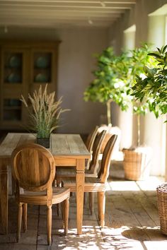 a dining room table with chairs and a potted plant