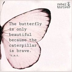 the butterfly is only beautiful because the caterpillar is brave quote by robert lewis