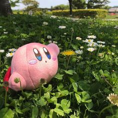 a pink stuffed animal laying in the grass