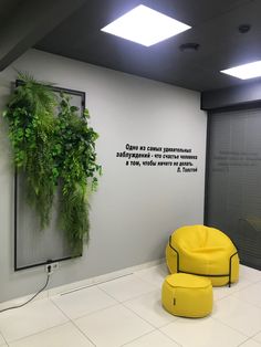 a yellow chair sitting in front of a white wall with a plant hanging on it