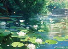 water lilies floating on top of a lake surrounded by greenery