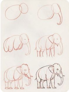 how to draw an elephant with pencils step by step