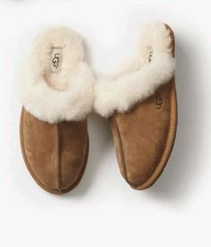 Ugg Chestnut, Ugg Scuffette, Chestnut Uggs, Dr Shoes, The Cardigans, Quoi Porter, Sheepskin Slippers, Ugg Slippers