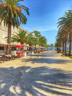 palm trees line the sidewalk in front of an ocean side restaurant