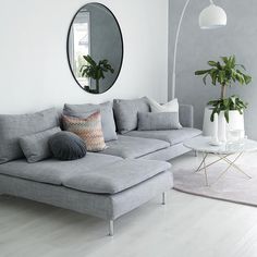 a living room with a couch, mirror and potted plant on the floor in front of it