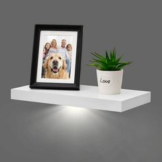 a white shelf with a potted plant next to it and a framed photo on top