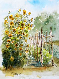 watercolor painting of sunflowers by a fence