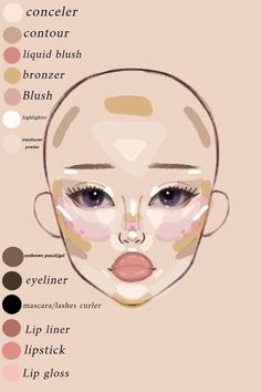 Makeup For Facial Features, Makeup Looks Contour, Makeup Placement Face Chart, Makeup For Face Type, Makeup Layout On Face, Where To Place Makeup On Face, Where To Put Makeup On Face, Makeup Map, Makeup Placement Face