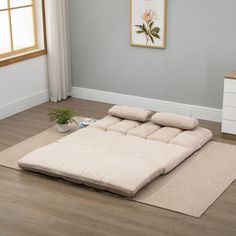 a living room with a futon bed in the middle and a potted plant on the floor