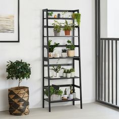 a black shelf with plants on it next to a potted plant in the corner