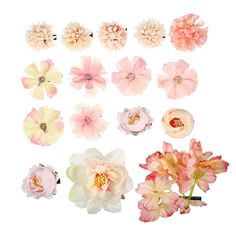 several different types of flowers on a white background