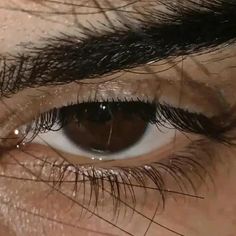 Brown Eyes Aesthetic, Brown Eye Boys, Types Of Eyes, Image Swag, Digital Portrait Art, Insta Profile Pic, Dark Brown Eyes, Eye Photography