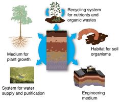 the diagram shows how soil is used to make plants and other things that are in it