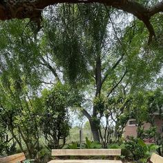 a wooden bench sitting in the middle of a lush green park