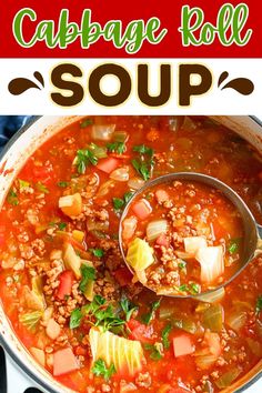 cabbage soup in a pot with a ladle full of soup and the words cabbage roll soup above it