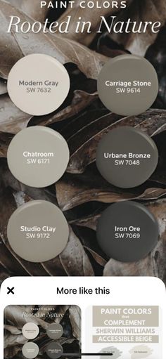 some paint colors that are in the same color scheme