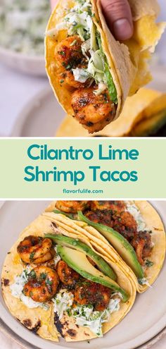 Try these cilantro lime shrimp tacos for a fresh and healthy twist! This shrimp tacos recipe pairs perfectly seasoned shrimp with zesty slaw and creamy avocado, making it one of the best shrimp tacos you’ll find. An easy shrimp tacos recipe that’s both flavorful and satisfying! Shrimp Tacos For A Crowd, Fish Taco With Slaw, Cilantro Shrimp Tacos, Shrimp Taco Seasoning Recipes, Healthy Shrimp Tacos Recipes, Honey Shrimp Tacos, The Best Shrimp Tacos, Swai Fish Tacos, Authentic Shrimp Tacos